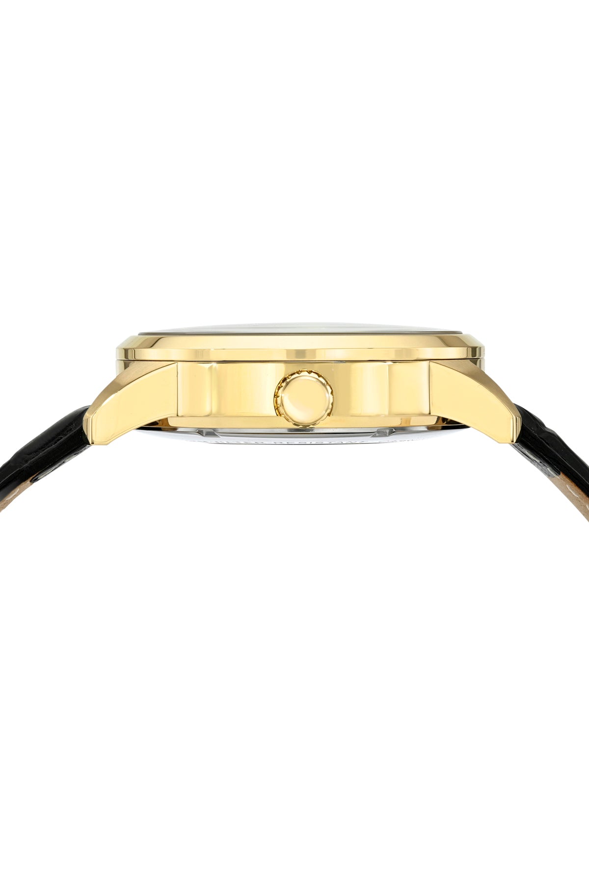 Porsamo Bleu Cassius Luxury Automatic Men's Watch, Genuine Leather Band, Gold, Black 802ECAL