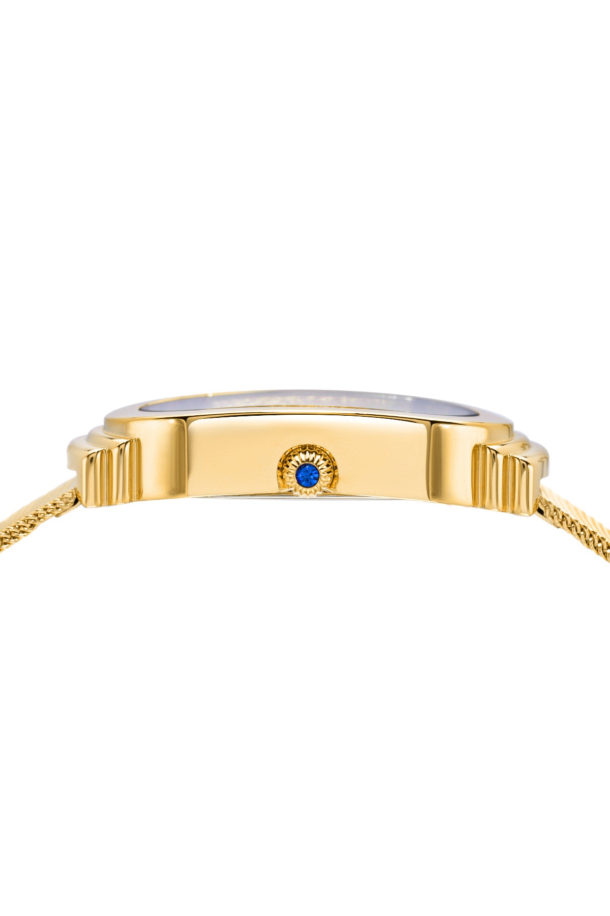 Porsamo Bleu Camille Luxury Women's Stainless Steel Mesh Bracelet Watch, Gold, Black 971BCAS