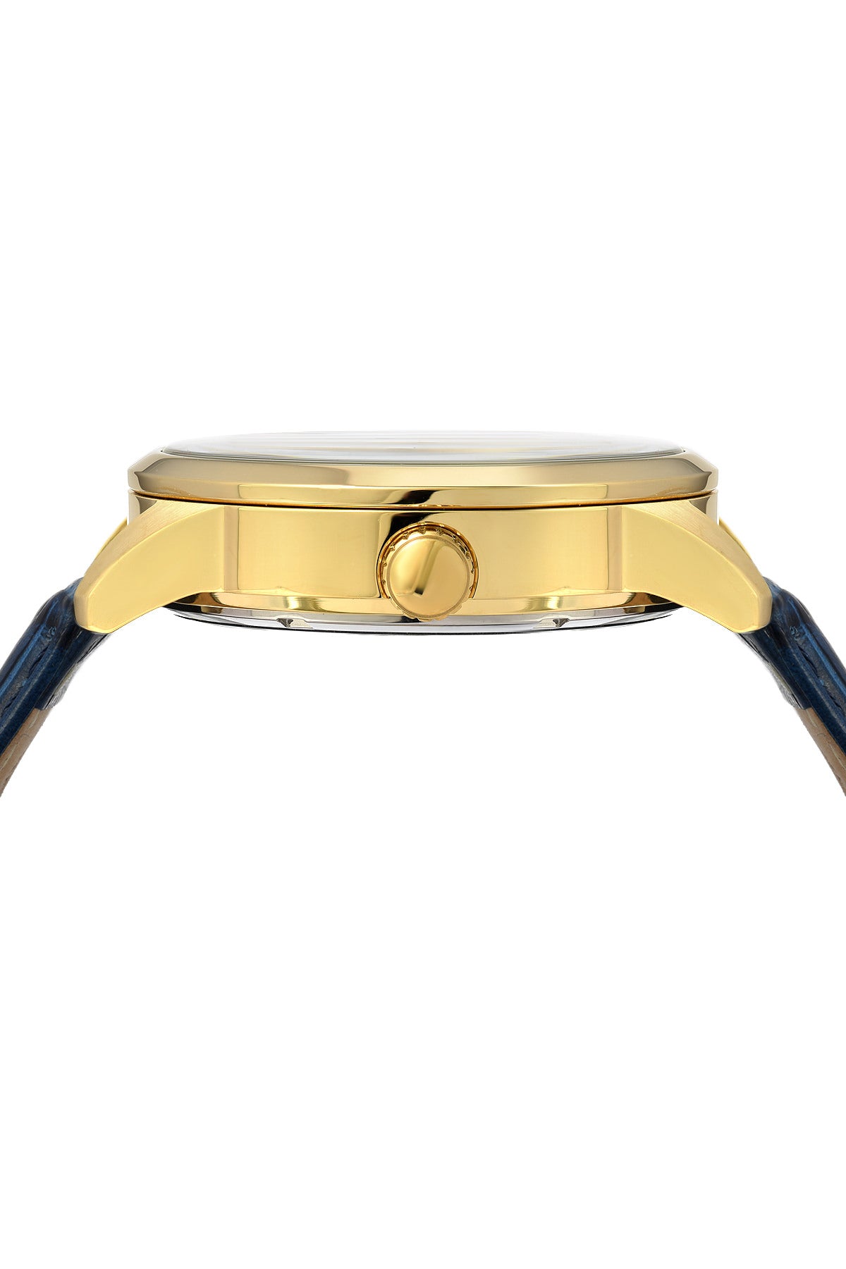 Porsamo Bleu Cassius Luxury Automatic Men's Watch, Genuine Leather Band, Gold, Blue 802BCAL