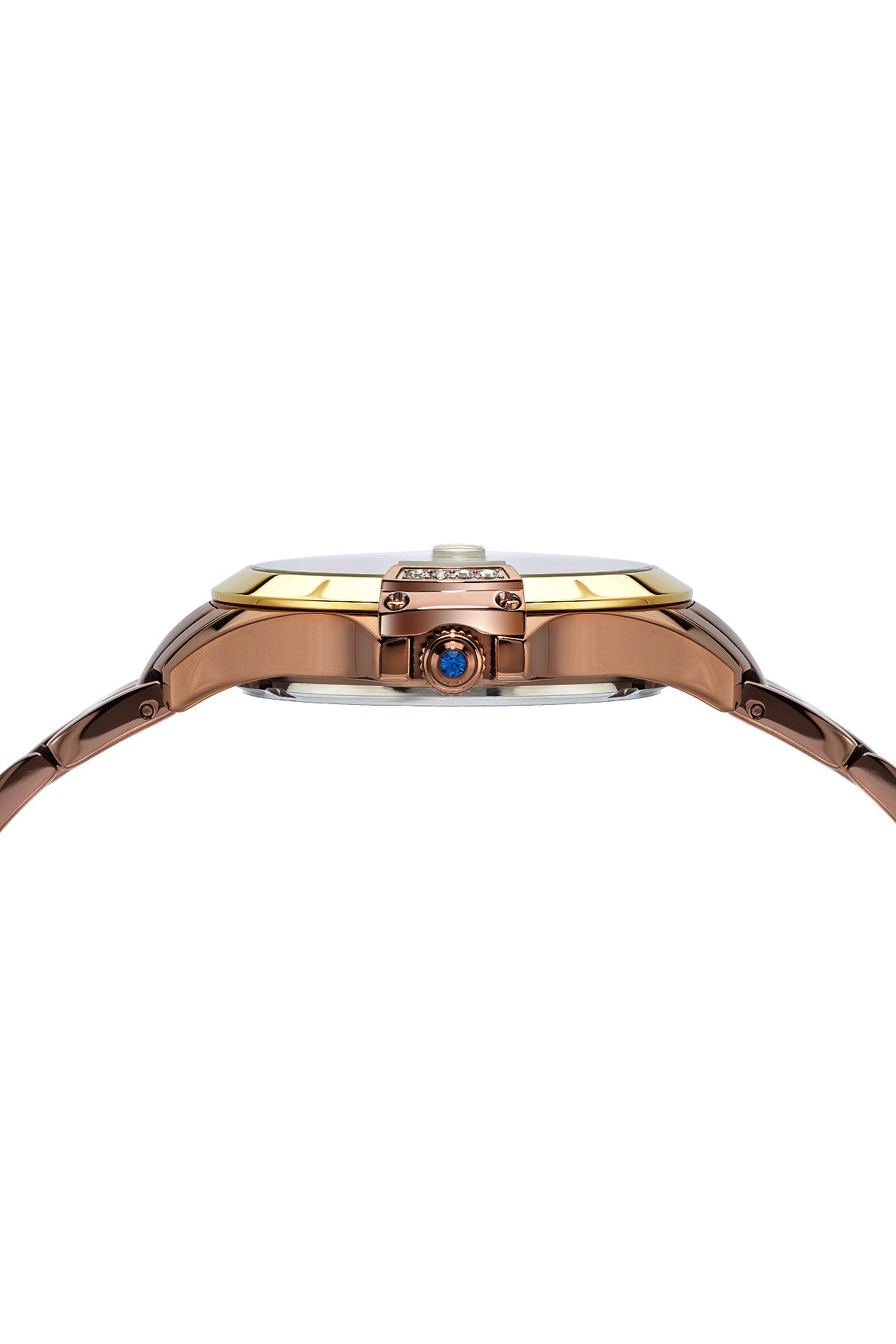 Porsamo Bleu Olivia luxury women's stainless steel watch, gold, brown 983BOLS