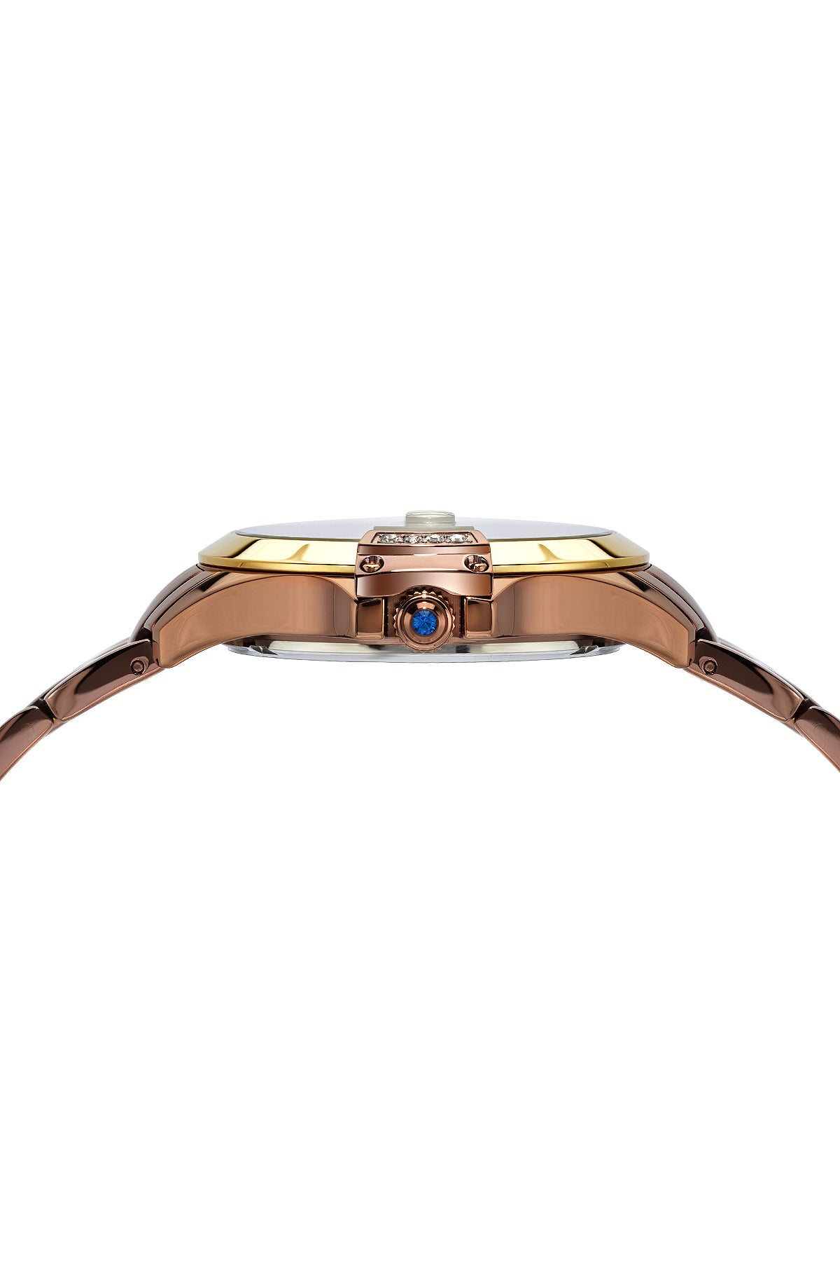 Porsamo Bleu Olivia Luxury Women's Stainless Steel Watch, Gold, Brown 983BOLS